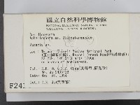 叉絲革菌屬藏品圖，第2張