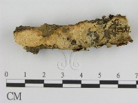 登錄號:F0002415藏品圖，第1張
