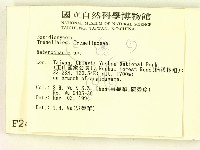刺皮菌屬藏品圖，第2張