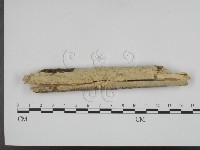 登錄號:F0002418藏品圖，第1張