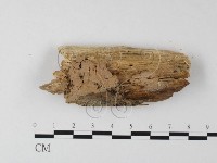 登錄號:F0002419藏品圖，第1張