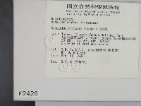 登錄號:F0002420藏品圖，第2張