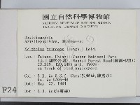 登錄號:F0002421藏品圖，第2張