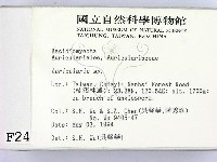 木耳屬藏品圖，第2張