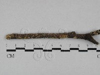 登錄號:F0002424藏品圖，第1張
