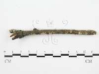 登錄號:F0002424藏品圖，第4張