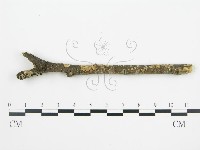 登錄號:F0002424藏品圖，第7張