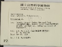 附毛菌屬藏品圖，第2張