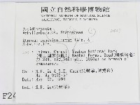登錄號:F0002427藏品圖，第2張