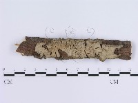 登錄號:F0002427藏品圖，第1張