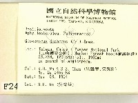 登錄號:F0002428藏品圖，第2張