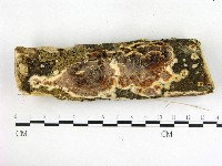 登錄號:F0002428藏品圖，第1張