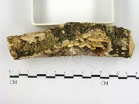 登錄號:F0002428藏品圖，第3張