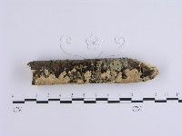 登錄號:F0002429藏品圖，第3張