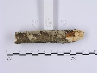 登錄號:F0002429藏品圖，第4張