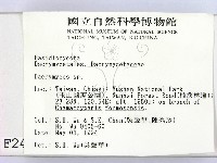 花耳屬藏品圖，第2張