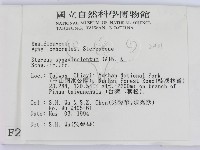 登錄號:F0002431藏品圖，第2張
