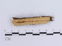 登錄號:F0002431藏品圖，第4張