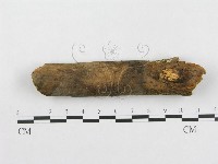 登錄號:F0002432藏品圖，第1張