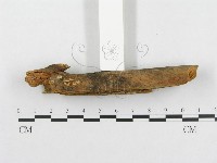 登錄號:F0002432藏品圖，第4張