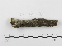 登錄號:F0002434藏品圖，第1張
