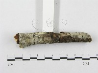登錄號:F0002434藏品圖，第3張