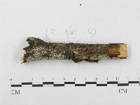 登錄號:F0002434藏品圖，第4張