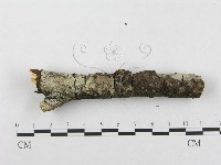 登錄號:F0002434藏品圖，第5張