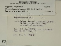 登錄號:F0002435藏品圖，第2張