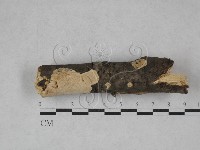 登錄號:F0002435藏品圖，第1張