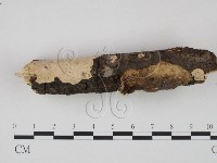 登錄號:F0002435藏品圖，第3張