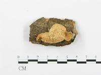 登錄號:F0002436藏品圖，第1張