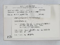 登錄號:F0002438藏品圖，第2張