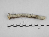 登錄號:F0002438藏品圖，第1張