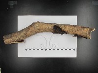 登錄號:F0002439藏品圖，第1張