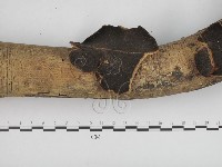登錄號:F0002439藏品圖，第3張