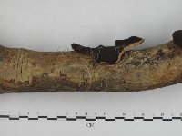 登錄號:F0002439藏品圖，第4張