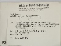 登錄號:F0002440藏品圖，第2張