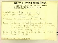 登錄號:F0002443藏品圖，第2張