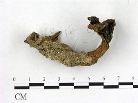 登錄號:F0002443藏品圖，第1張