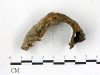 登錄號:F0002443藏品圖，第3張