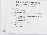 管齒菌屬藏品圖，第2張