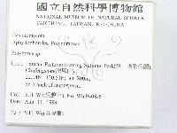 多孔菌屬藏品圖，第2張