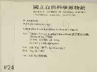 登錄號:F0002447藏品圖，第2張