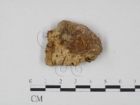 登錄號:F0002447藏品圖，第1張