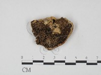 登錄號:F0002447藏品圖，第3張