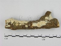 登錄號:F0002449藏品圖，第1張