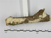 登錄號:F0002449藏品圖，第3張