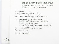 登錄號:F0002450藏品圖，第2張