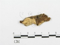 登錄號:F0002450藏品圖，第1張